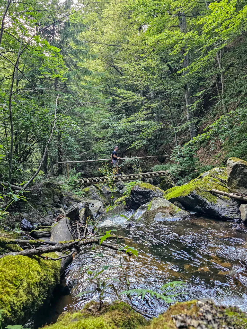 Kopaonik hike, Samokovska